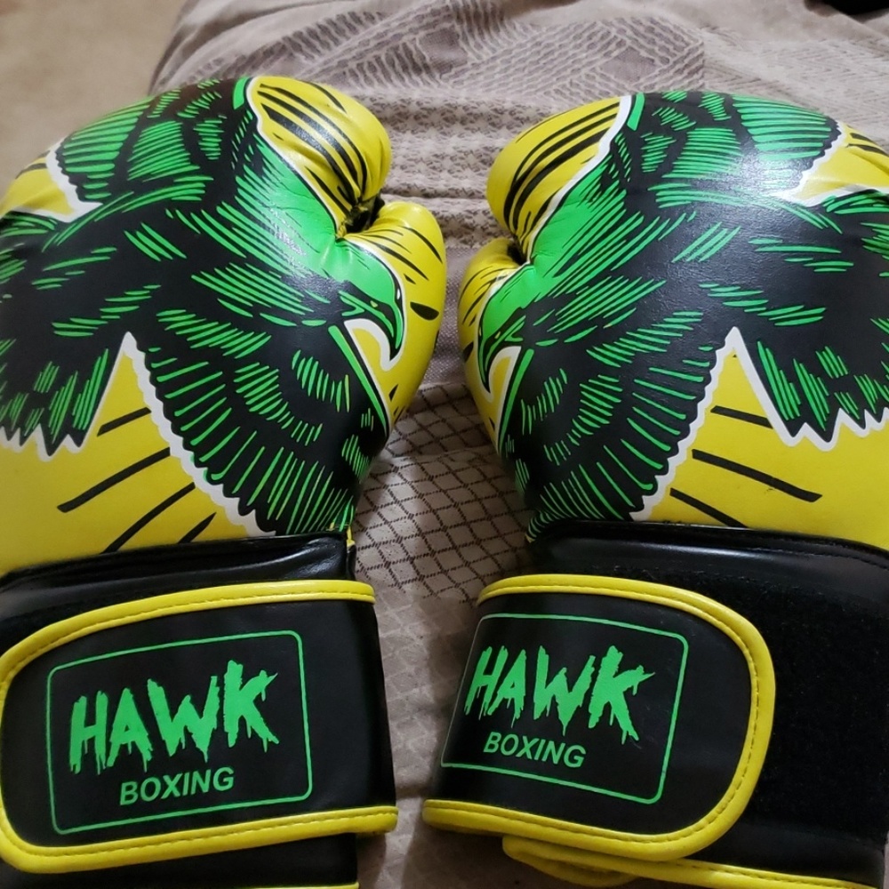 Hawk 16oz Boxing Gloves